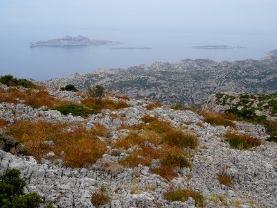 Vue vers l'ile Riou 