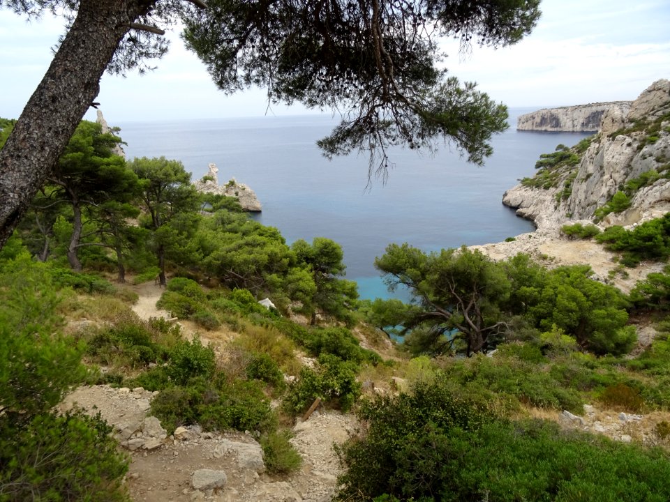 Calanque de Sugiton 