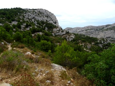 DSC07855 