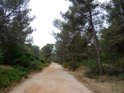 Début du sentier au départ de l'université de Luminy, Mars… 