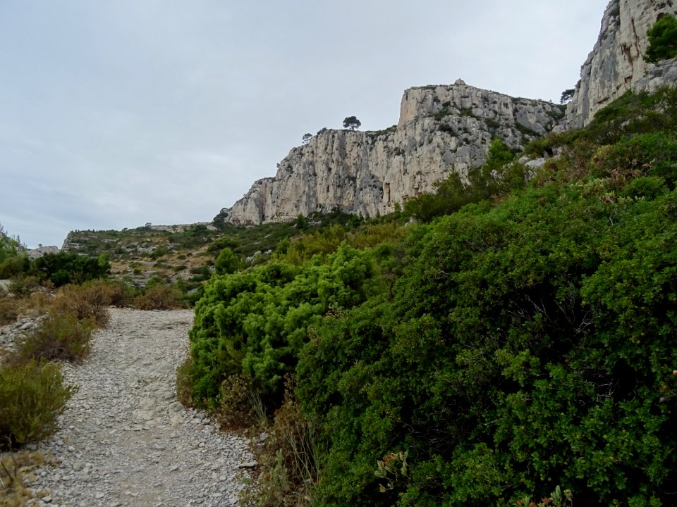 DSC08024 