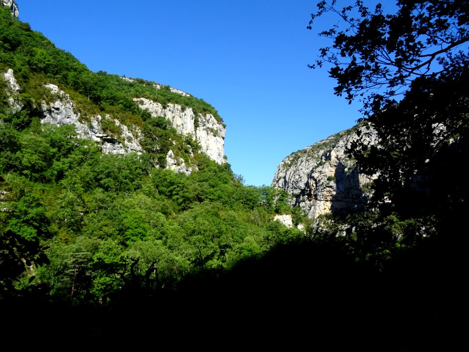 DSC07476 