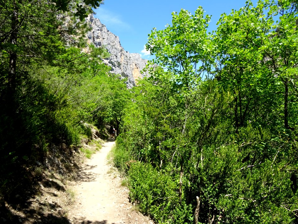 DSC07728 