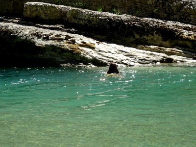 Les eaux turquoises du Verdon 