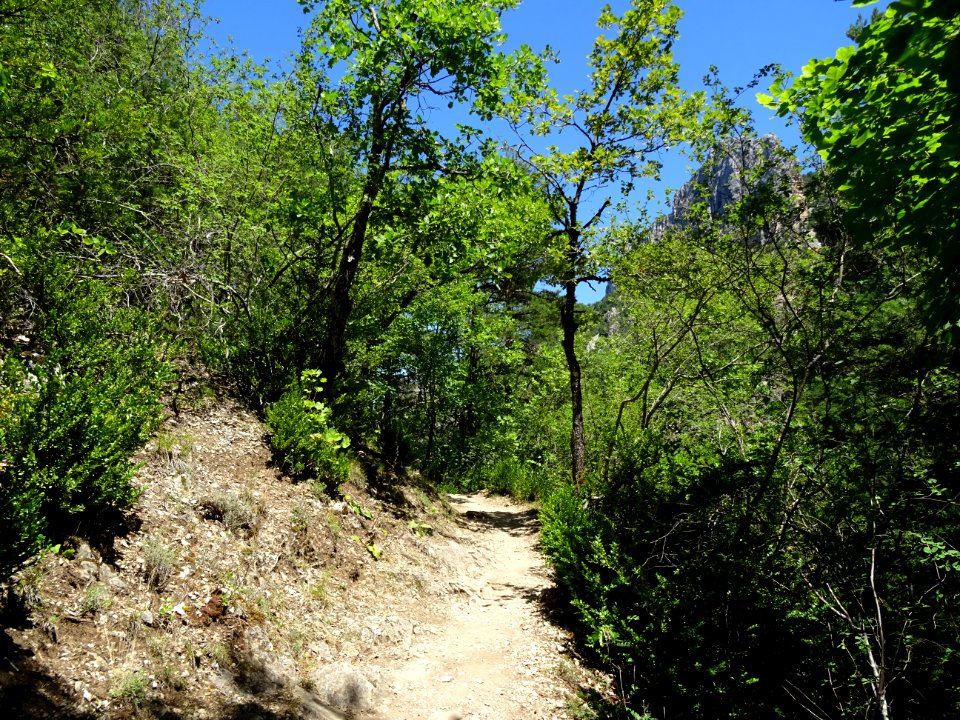 DSC07709 