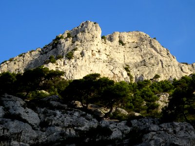 DSC07111 