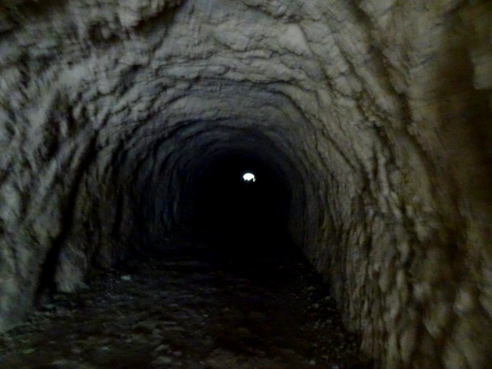 DSC07774 