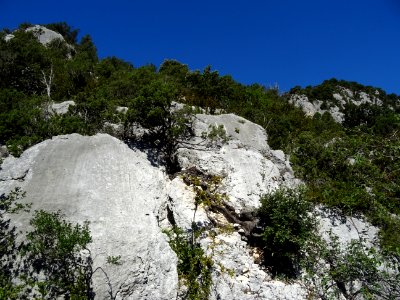 DSC07575 