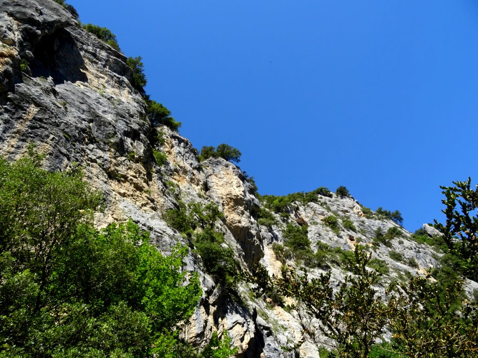 DSC07644 