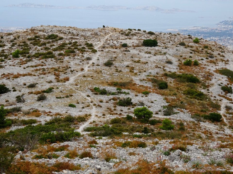 Le sentier qui se poursuit après le Mont Puget 