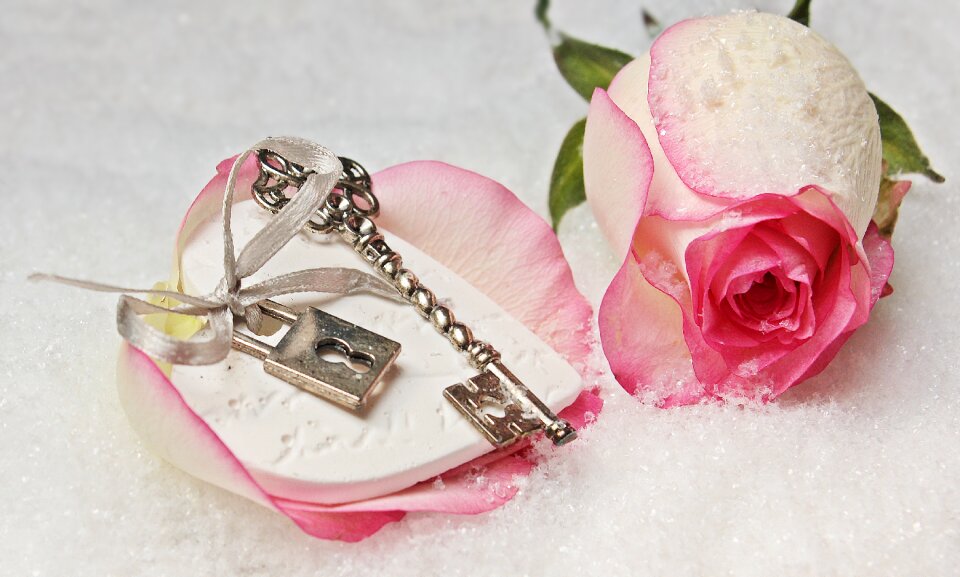 Herzchen love romance