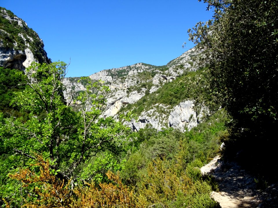 DSC07560 