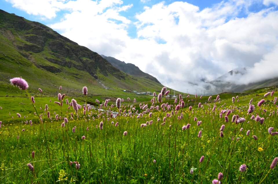 Nature green kaçkars