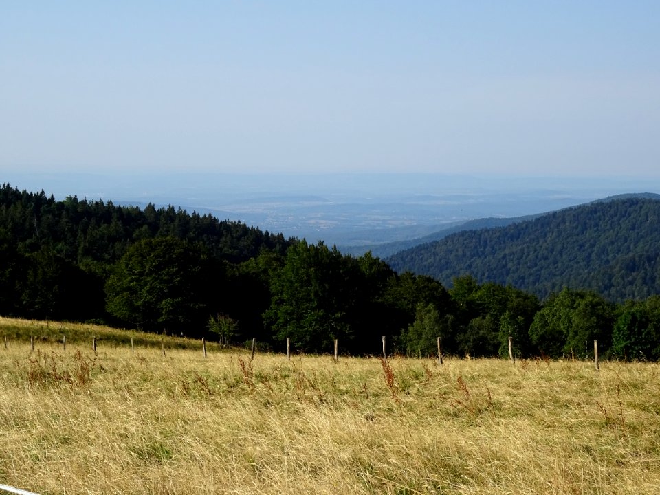 Vue depuis le Ballon d'Alsace 