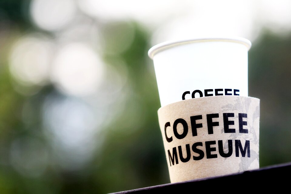 Sky light drip coffee