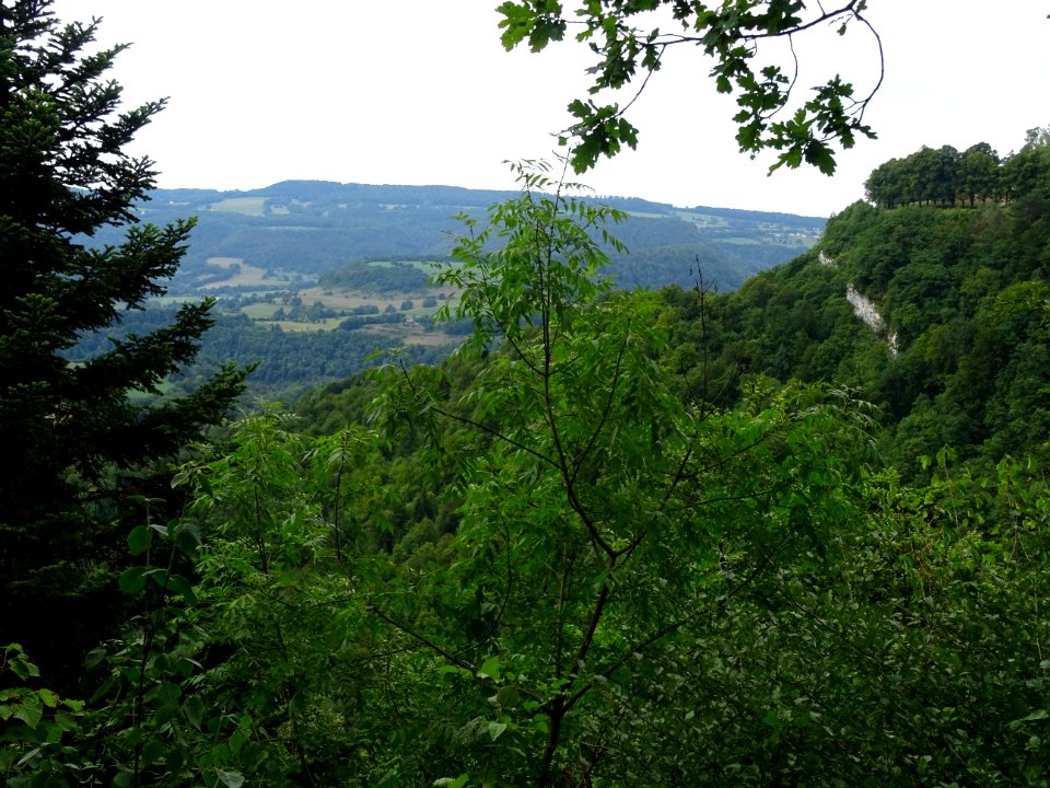 Vue vers Orgeans, invisible au fond de la vallée du Dessou… 