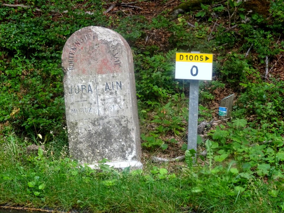 Borne routière, Route n°5 de Paris à Genève, Jura / Morez … 