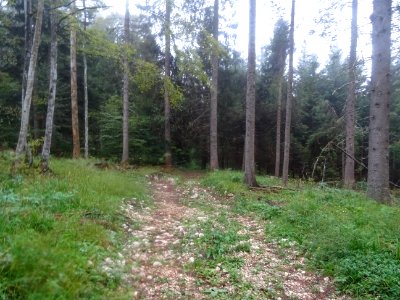 Début de la traversée à pied entre la route du Col de l'Ai… 