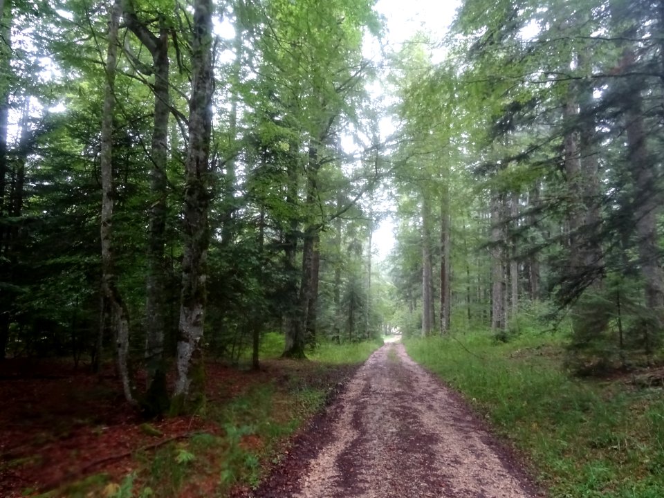 Et ca continue comme cela sur 3 km ! Roulage à la main du … 