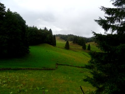Prairies, sapinières et murets de pierre, dans la montée a… 