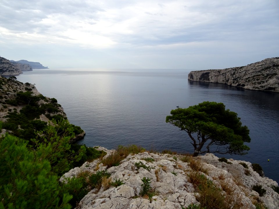 Calanque de Morgiou 
