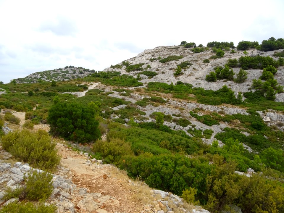 Vers le Col Ricard 