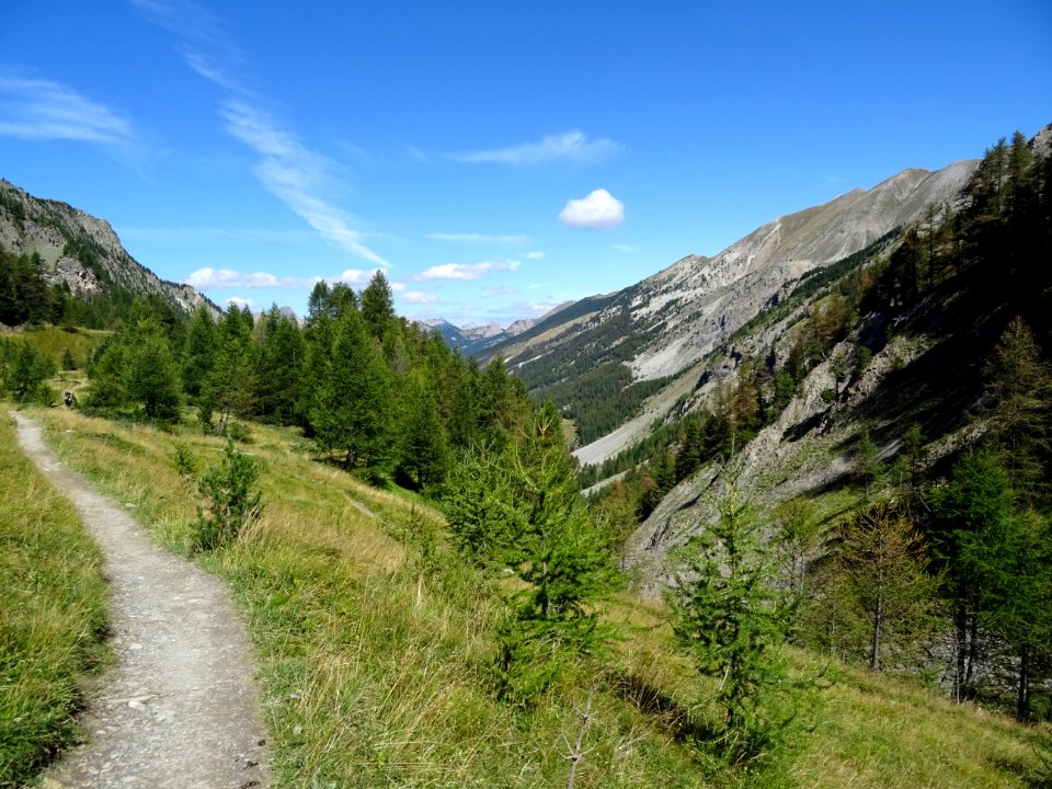 Le sentier dans sa partie plate 