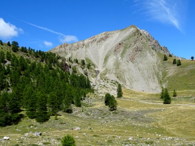 La Tête de Coste Belle 