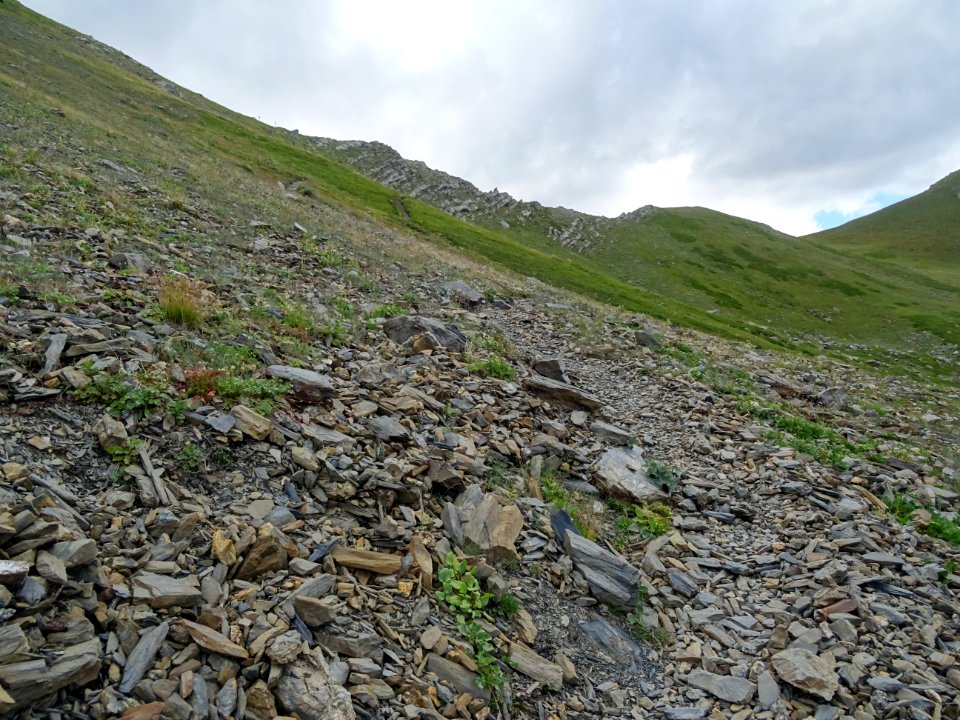 Sentier qui monte fort au Pas de l'Ane 