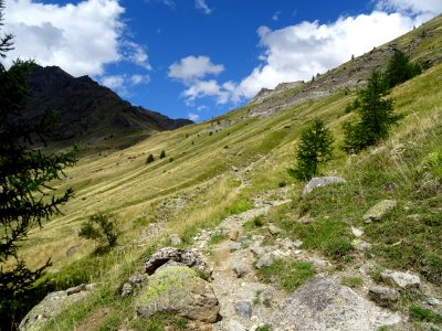 Vallon de Chambran, montée vers le col de Fréjus et le col… 