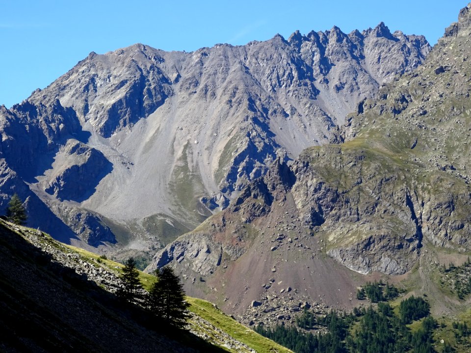 Les silhouettes des mélèzes encore à l'ombre 