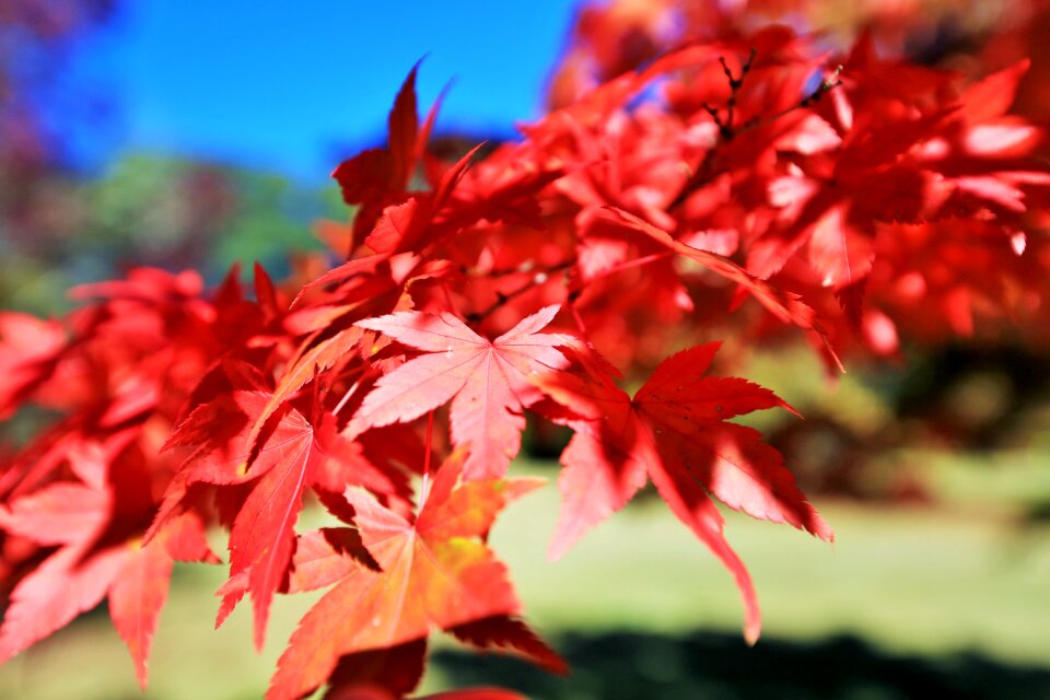 Season nature october