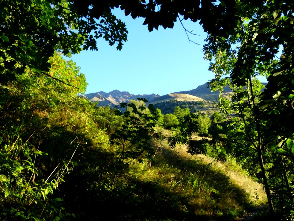 DSC01084 
