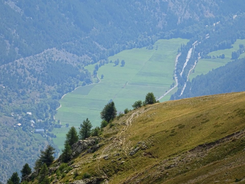 Au zoom, plaine de Freissinières 