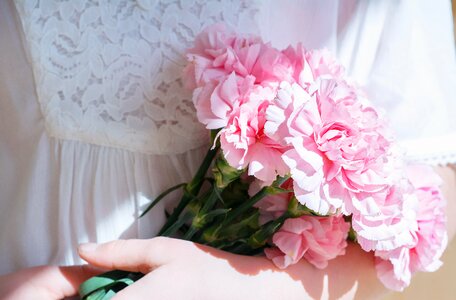 Pink cut flowers in the hand