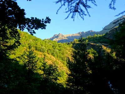 Le sentier alterne entre ombre et soleil au départ du park… 