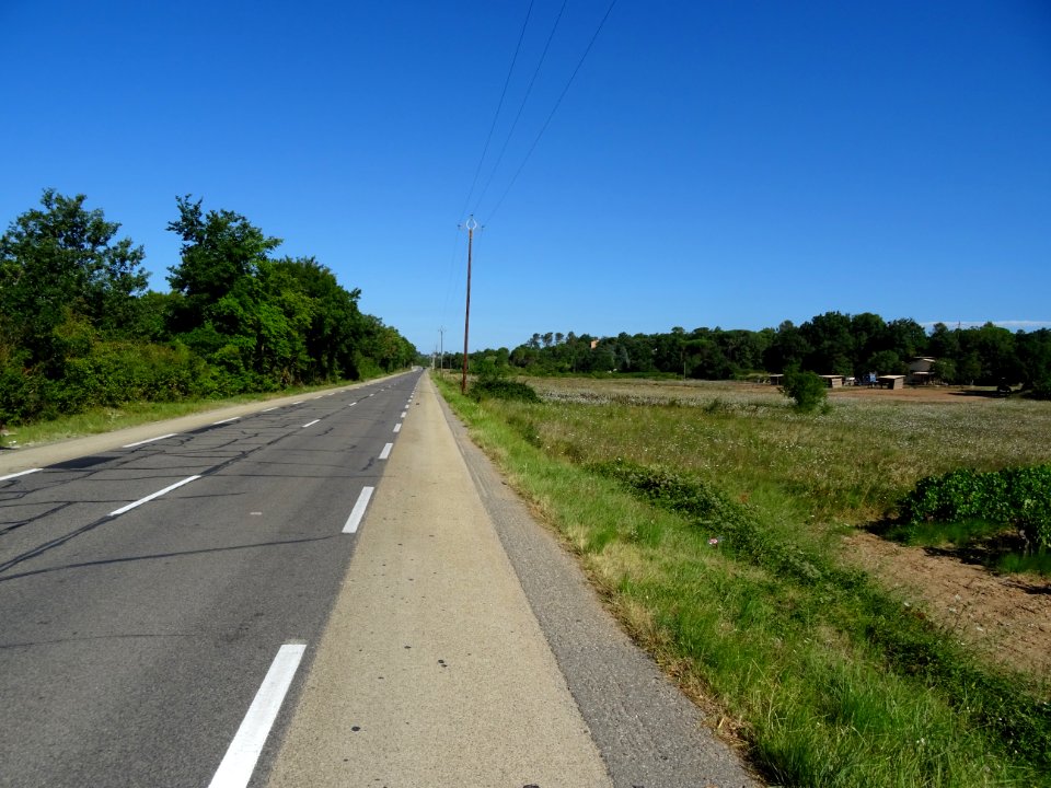 Route entre Tourves et St Maximin, Var 