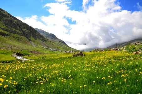 Nature green kaçkars