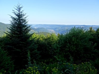 Dans la montée au Ballon d'Alsace, vue vers la vallée de l… 