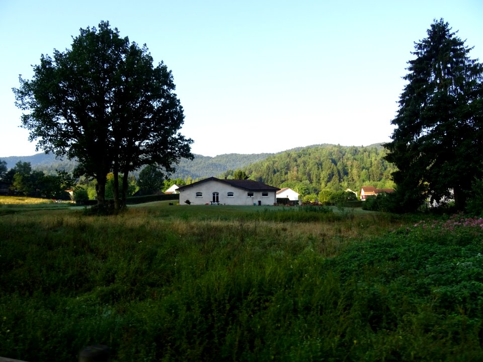 DSC08252 