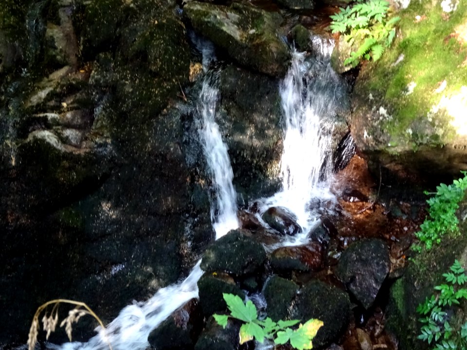 Cascade, lieu-dit le Saut de la Truite 