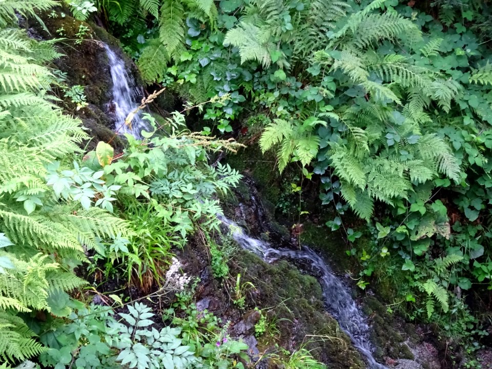 Source La Goutte Boileau 