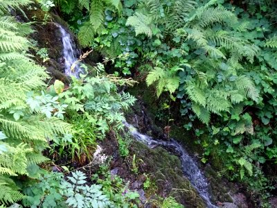 Source La Goutte Boileau 