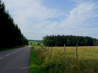 DSC08584 
