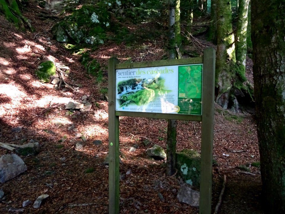 Sentier des cascades au lieu-dit Le Saut de la Truite da… 