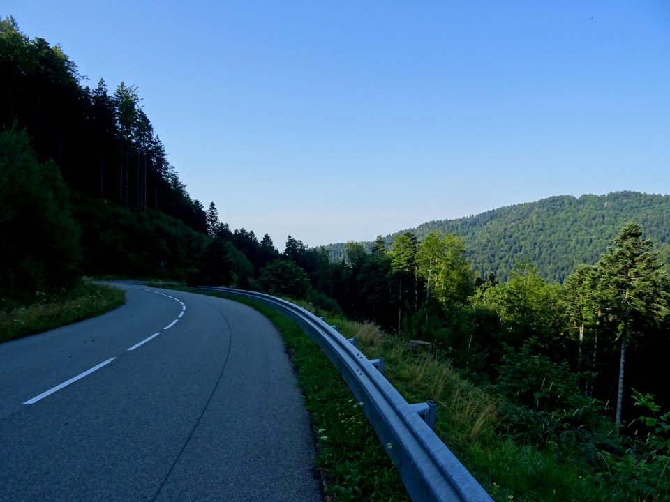 Courbe dans la descente du Ballon d'Alsace, Forêt Domanial… 