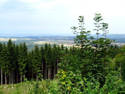 Vue en se retournant vers les Vosges et Belfort, sur la ro… 