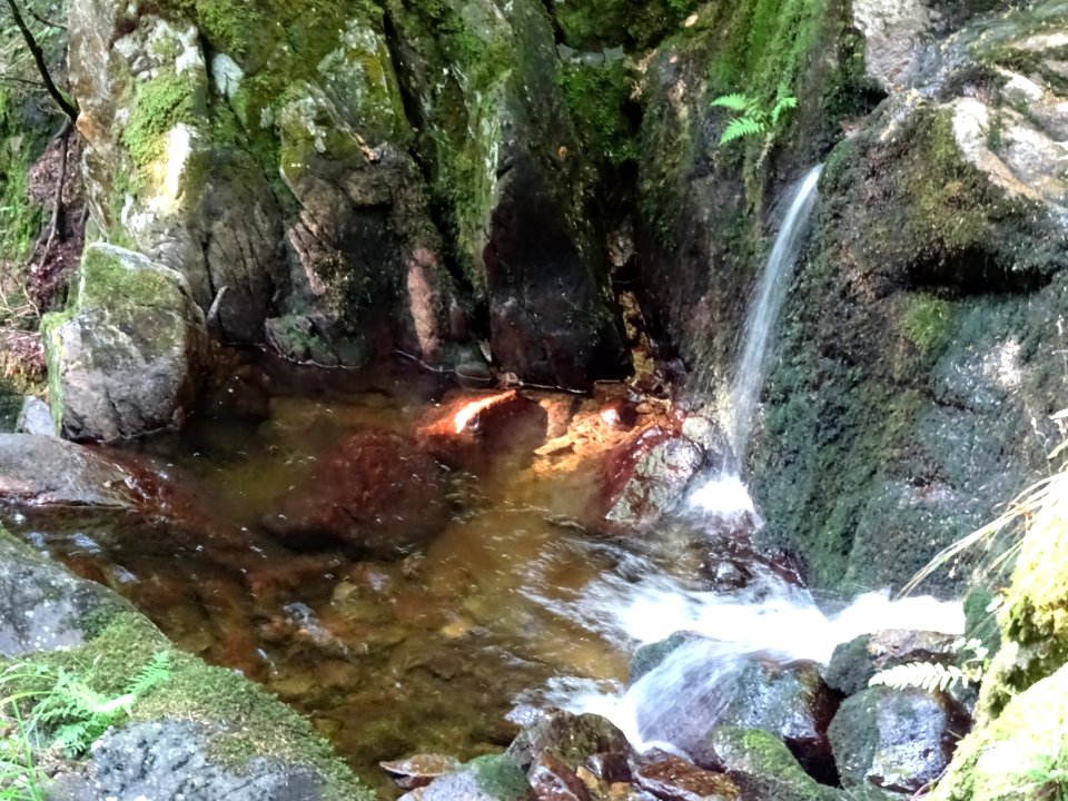 Cascade, lieu-dit le Saut de la Truite 