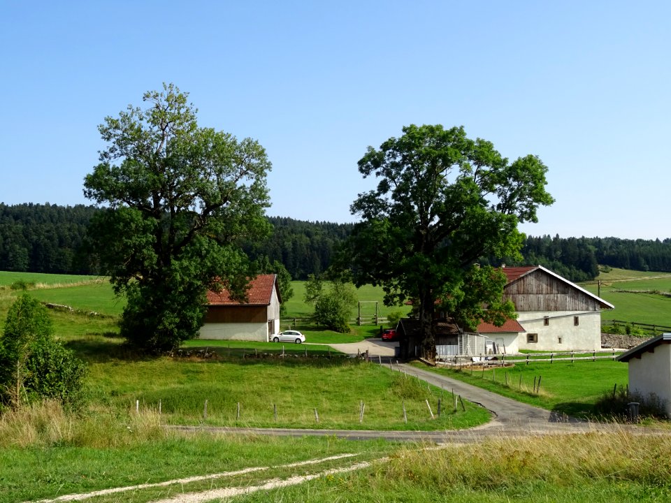 Le Creux, commune de Charquemont, Doubs 