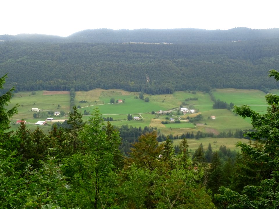 Vue sur la vallée de Mijoux, depuis la route du Col de la … 